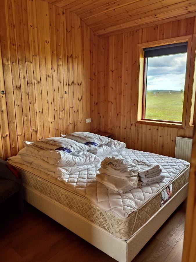 Cat Lovers Only! Bright And Peaceful With Views & Hot Tub Selfoss